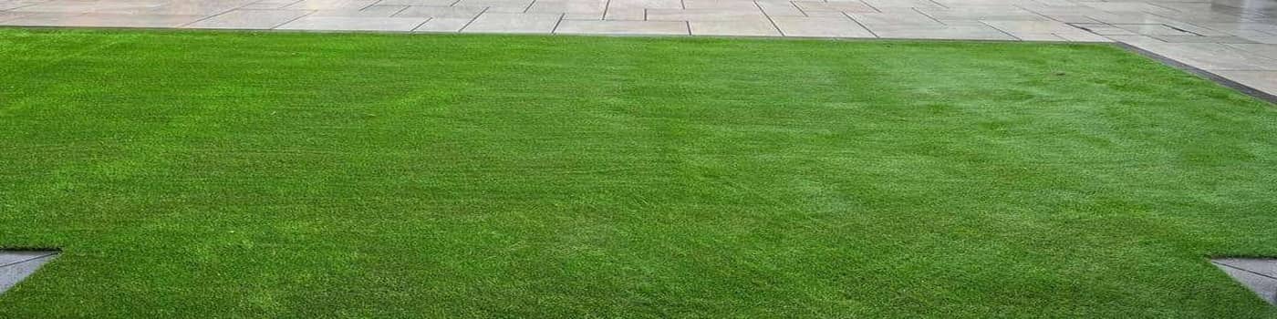 Artificial Grass Installers