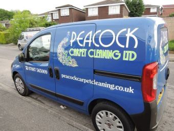 Peacock Carpet Cleaning In Reading