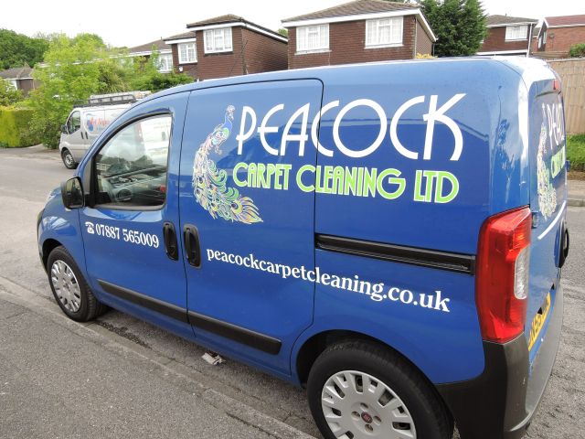 Peacock Carpet Cleaning